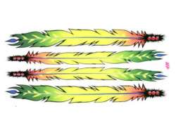 HBS Cykel Dekal Feathers - Multi Color